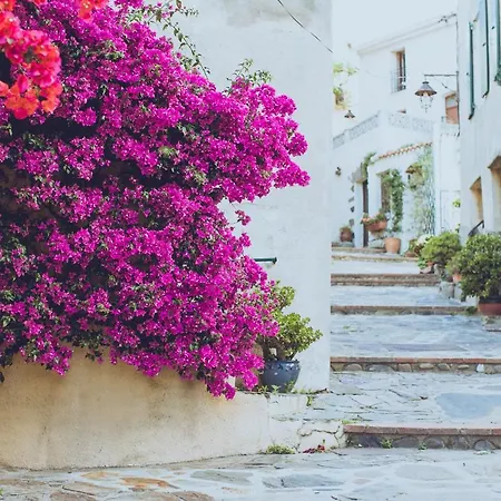 Tatil Evi Regina's - Town House Close To